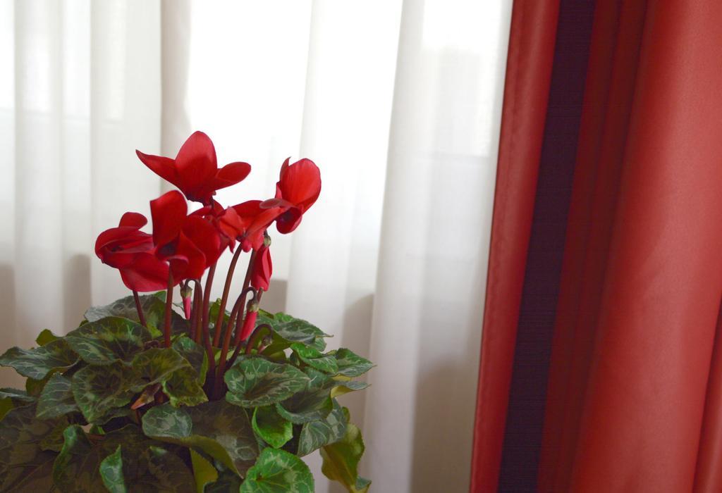 Camere Delfini Palmanova Dış mekan fotoğraf